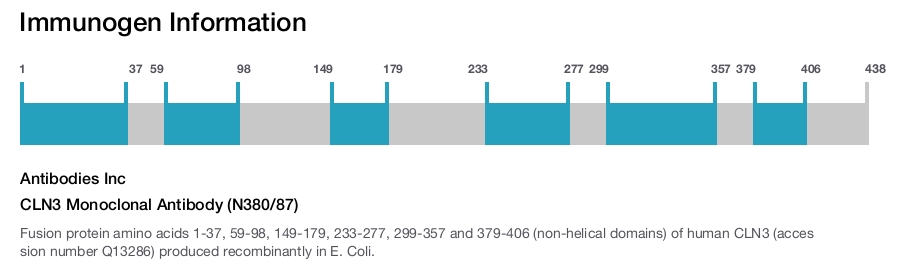 CLN3 Monoclonal Antibody (N380/87)