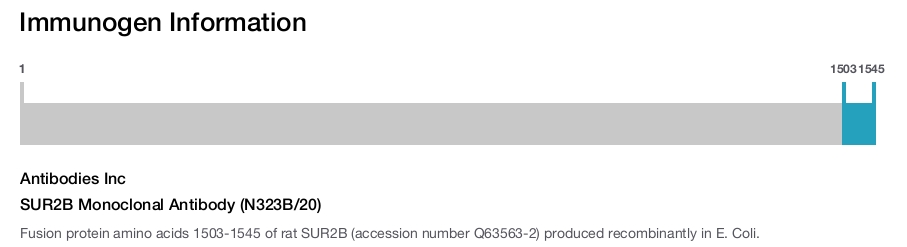 SUR2B Monoclonal Antibody (N323B/20)