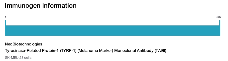 Tyrosinase-Related Protein-1 (TYRP-1) (Melanoma Marker) Monoclonal Antibody (TA99)