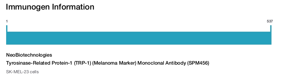 Tyrosinase-Related Protein-1 (TRP-1) (Melanoma Marker) Monoclonal Antibody (SPM456)