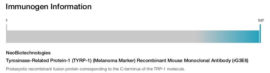 Tyrosinase-Related Protein-1 (TYRP-1) (Melanoma Marker) Recombinant Mouse Monoclonal Antibody (rG3E6)
