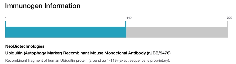 Ubiquitin (Autophagy Marker) Recombinant Mouse Monoclonal Antibody (rUBB/9476)