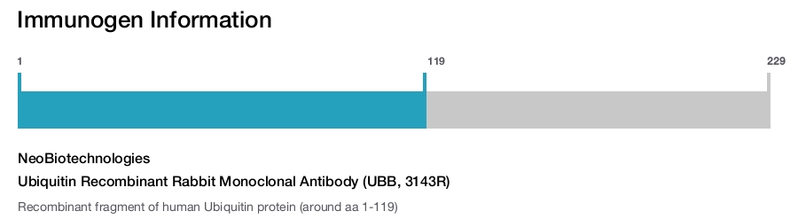 Ubiquitin Recombinant Rabbit Monoclonal Antibody (UBB, 3143R)