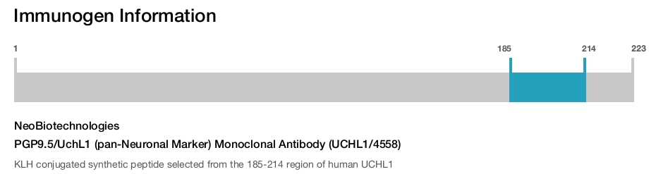 PGP9.5/UchL1 (pan-Neuronal Marker) Monoclonal Antibody (UCHL1/4558)