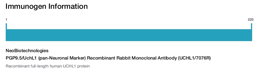 PGP9.5/UchL1 (pan-Neuronal Marker) Recombinant Rabbit Monoclonal Antibody (UCHL1/7076R)