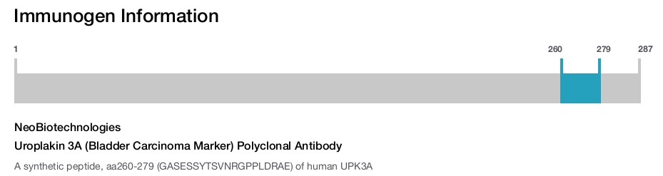 Uroplakin 3A (Bladder Carcinoma Marker) Polyclonal Antibody