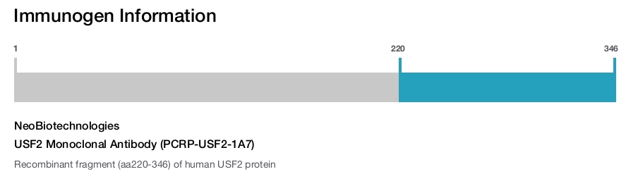 USF2 Monoclonal Antibody (PCRP-USF2-1A7)