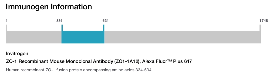 ZO-1 Recombinant Mouse Monoclonal Antibody (ZO1-1A12), Alexa Fluor™ Plus 647