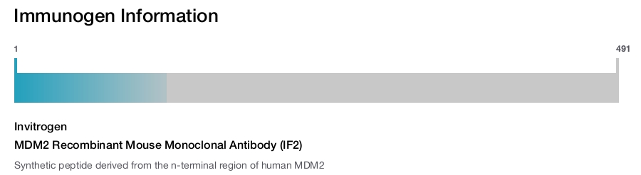MDM2 Recombinant Mouse Monoclonal Antibody (IF2)
