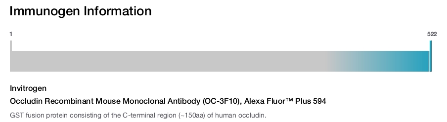 Occludin Recombinant Mouse Monoclonal Antibody (OC-3F10), Alexa Fluor™ Plus 594