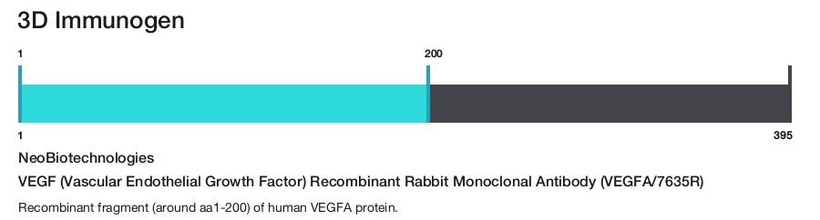 VEGF (Vascular Endothelial Growth Factor) Recombinant Rabbit Monoclonal Antibody (VEGFA/7635R)