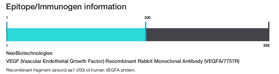 VEGF (Vascular Endothelial Growth Factor) Recombinant Rabbit Monoclonal Antibody (VEGFA/7757R)