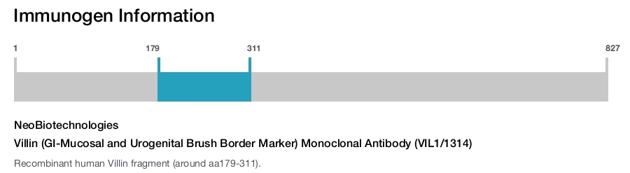 Villin (GI-Mucosal and Urogenital Brush Border Marker) Monoclonal Antibody (VIL1/1314)
