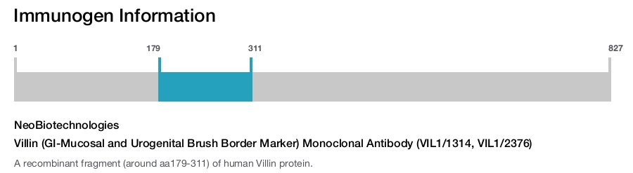 Villin (GI-Mucosal and Urogenital Brush Border Marker) Monoclonal Antibody (VIL1/1314, VIL1/2376)