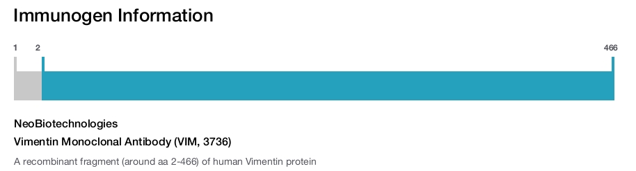 Vimentin Monoclonal Antibody (VIM, 3736)
