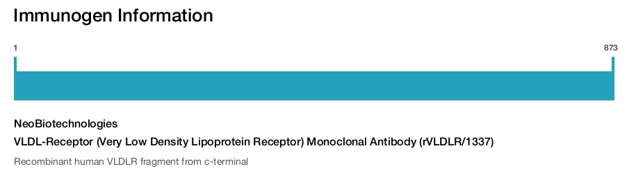 VLDL-Receptor (Very Low Density Lipoprotein Receptor) Monoclonal Antibody (rVLDLR/1337)