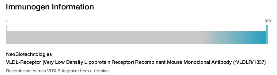 VLDL-Receptor (Very Low Density Lipoprotein Receptor) Recombinant Mouse Monoclonal Antibody (rVLDLR/1337)