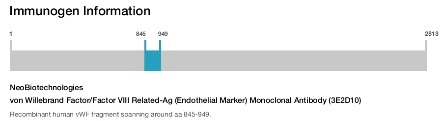 von Willebrand Factor/Factor VIII Related-Ag (Endothelial Marker) Monoclonal Antibody (3E2D10)