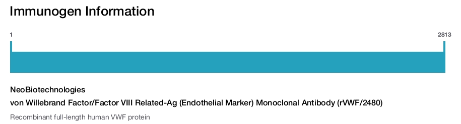 von Willebrand Factor/Factor VIII Related-Ag (Endothelial Marker) Monoclonal Antibody (rVWF/2480)