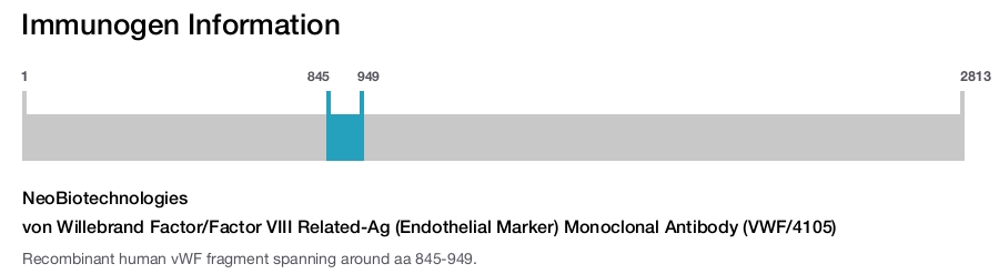 von Willebrand Factor/Factor VIII Related-Ag (Endothelial Marker) Monoclonal Antibody (VWF/4105)