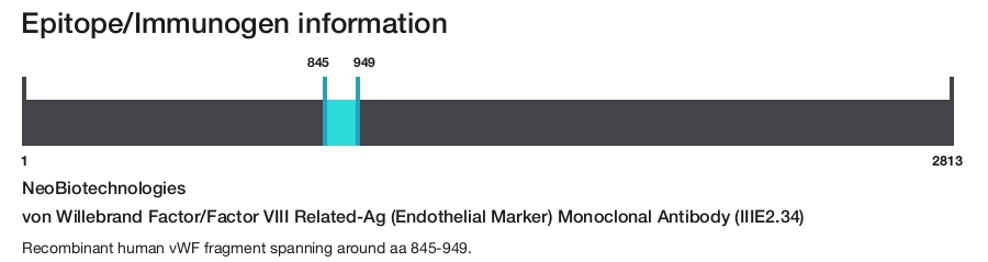 von Willebrand Factor/Factor VIII Related-Ag (Endothelial Marker) Monoclonal Antibody (IIIE2.34)