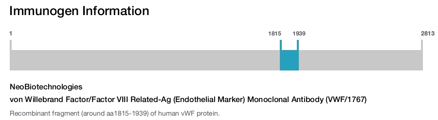 von Willebrand Factor/Factor VIII Related-Ag (Endothelial Marker) Monoclonal Antibody (VWF/1767)