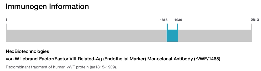 von Willebrand Factor/Factor VIII Related-Ag (Endothelial Marker) Monoclonal Antibody (rVWF/1465)