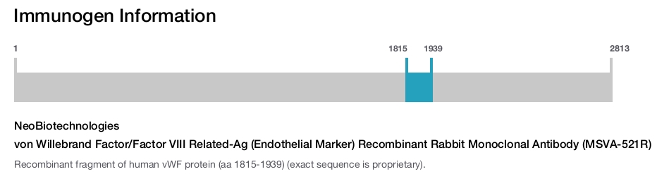 von Willebrand Factor/Factor VIII Related-Ag (Endothelial Marker) Recombinant Rabbit Monoclonal Antibody (MSVA-521R)