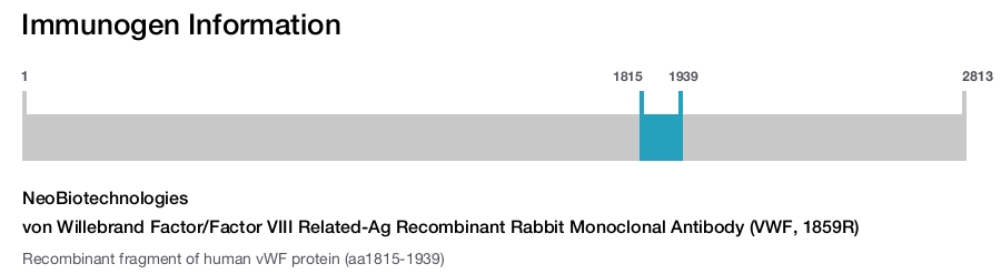 von Willebrand Factor/Factor VIII Related-Ag Recombinant Rabbit Monoclonal Antibody (VWF, 1859R)