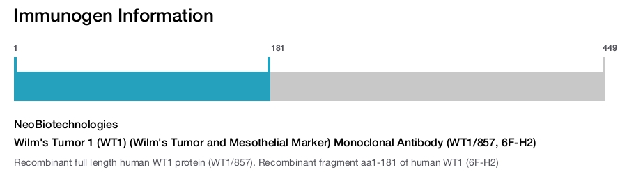 Wilm's Tumor 1 (WT1) (Wilm's Tumor and Mesothelial Marker) Monoclonal Antibody (WT1/857, 6F-H2)