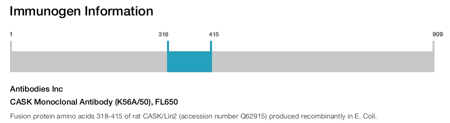 CASK Monoclonal Antibody (K56A/50), FL650