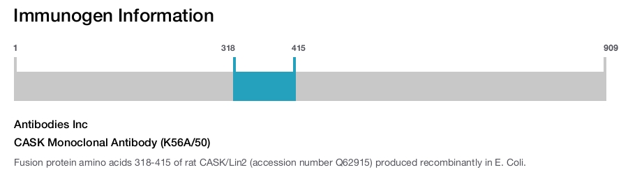 CASK Monoclonal Antibody (K56A/50)