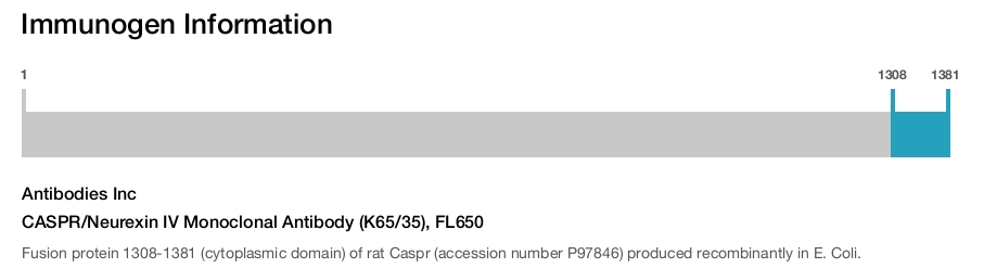 CASPR/Neurexin IV Monoclonal Antibody (K65/35), FL650