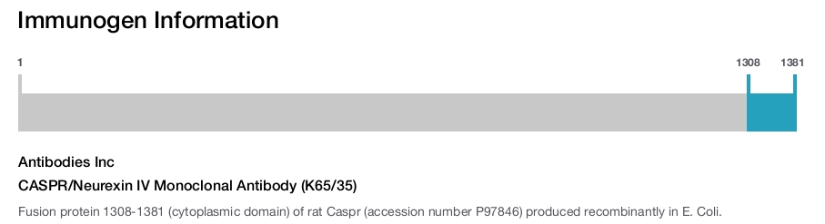 CASPR/Neurexin IV Monoclonal Antibody (K65/35)