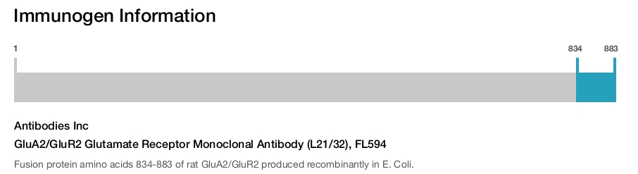 GluA2/GluR2 Glutamate Receptor Monoclonal Antibody (L21/32), FL594