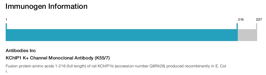 KChIP1 K+ Channel Monoclonal Antibody (K55/7)