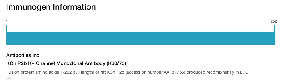 KChIP2b K+ Channel Monoclonal Antibody (K60/73)