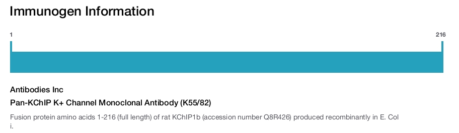 Pan-KChIP K+ Channel Monoclonal Antibody (K55/82)