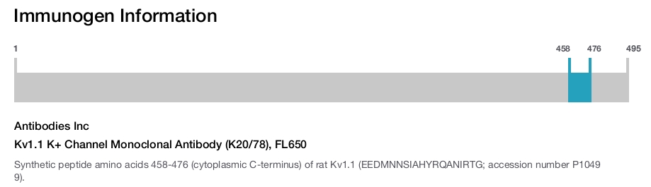 Kv1.1 K+ Channel Monoclonal Antibody (K20/78), FL650