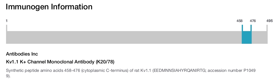 Kv1.1 K+ Channel Monoclonal Antibody (K20/78)