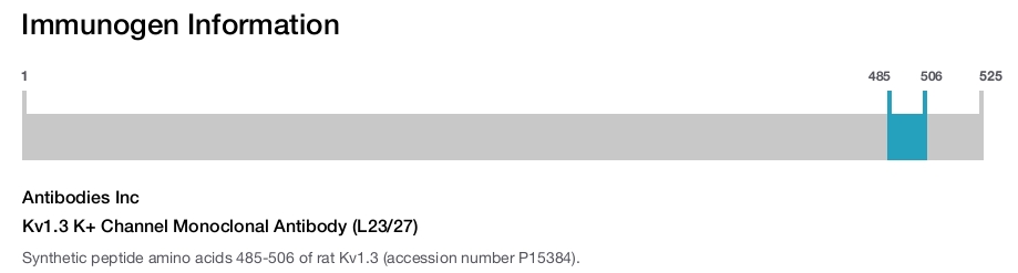 Kv1.3 K+ Channel Monoclonal Antibody (L23/27)