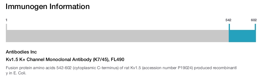 Kv1.5 K+ Channel Monoclonal Antibody (K7/45), FL490