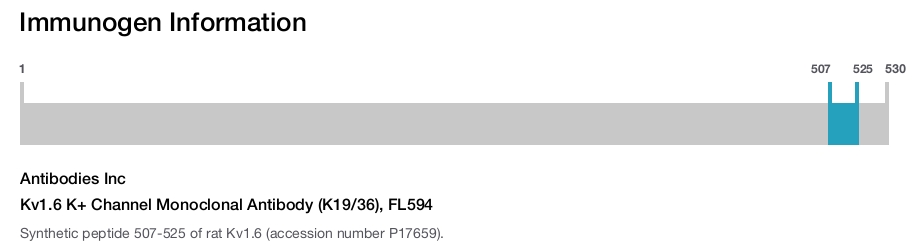 Kv1.6 K+ Channel Monoclonal Antibody (K19/36), FL594