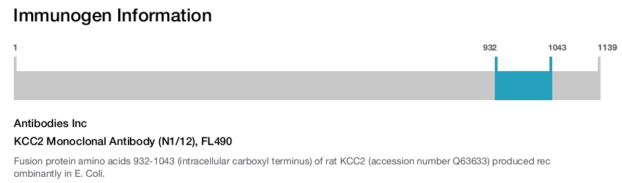 KCC2 Monoclonal Antibody (N1/12), FL490