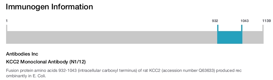 KCC2 Monoclonal Antibody (N1/12)