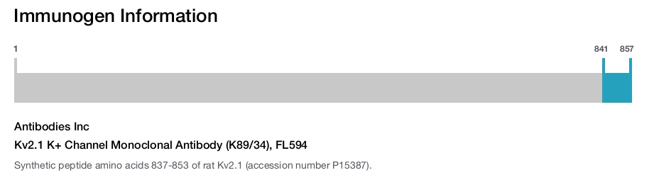 Kv2.1 K+ Channel Monoclonal Antibody (K89/34), FL594