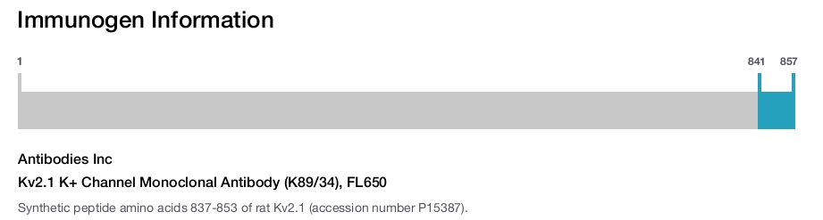 Kv2.1 K+ Channel Monoclonal Antibody (K89/34), FL650