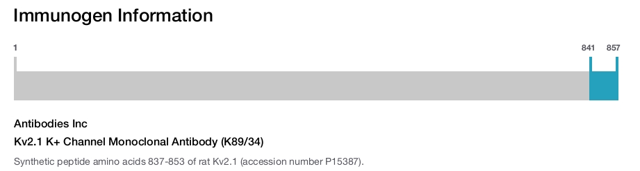 Kv2.1 K+ Channel Monoclonal Antibody (K89/34)