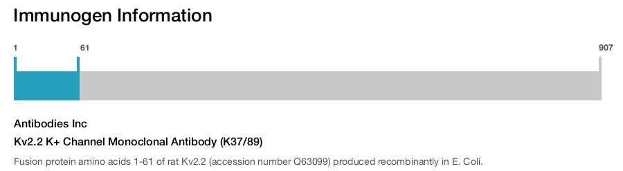 Kv2.2 K+ Channel Monoclonal Antibody (K37/89)