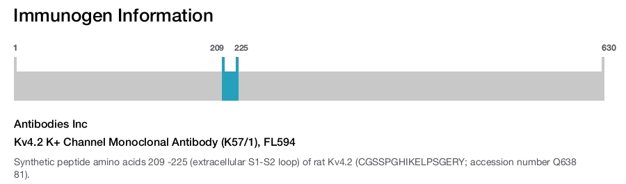 Kv4.2 K+ Channel Monoclonal Antibody (K57/1), FL594